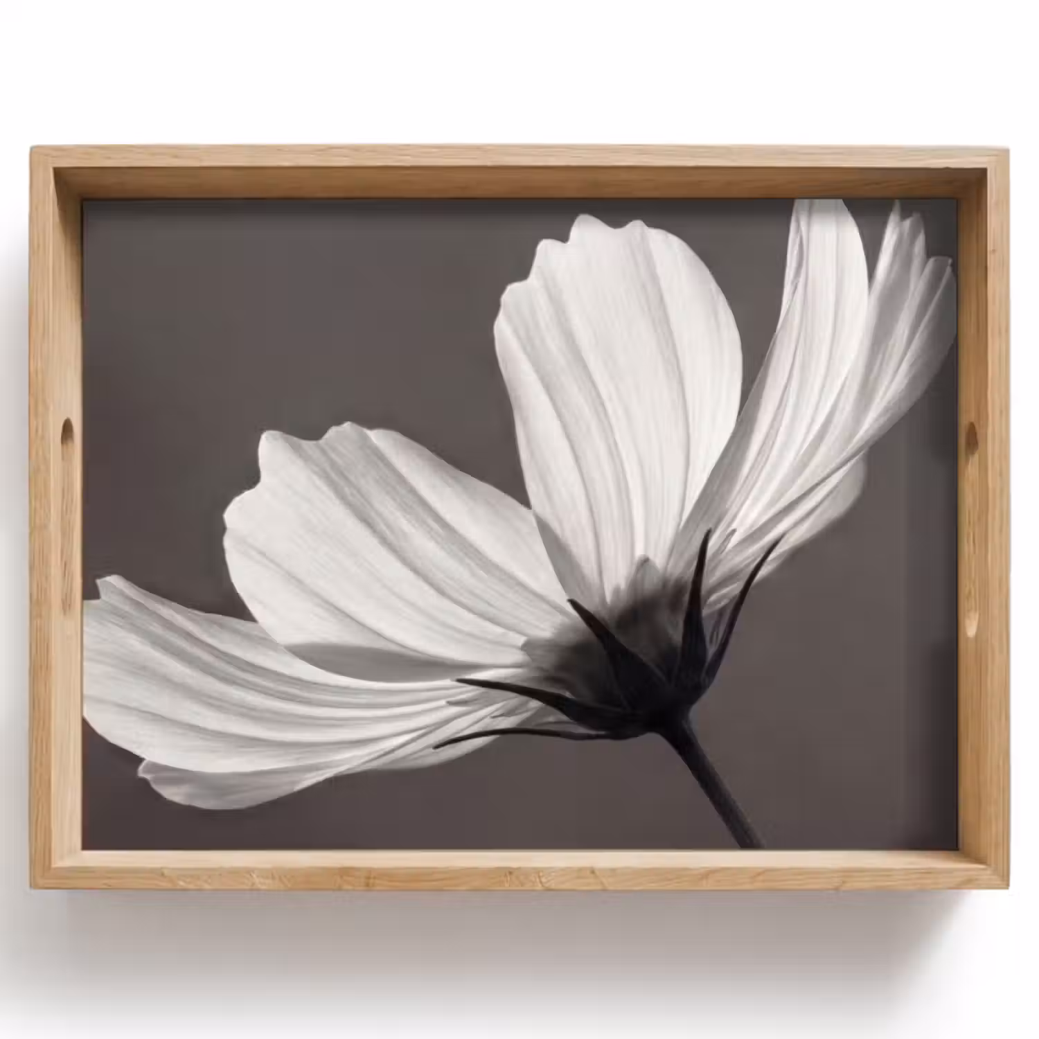 Dienblad - Bloem - Minimalistisch - Zwart - Wit