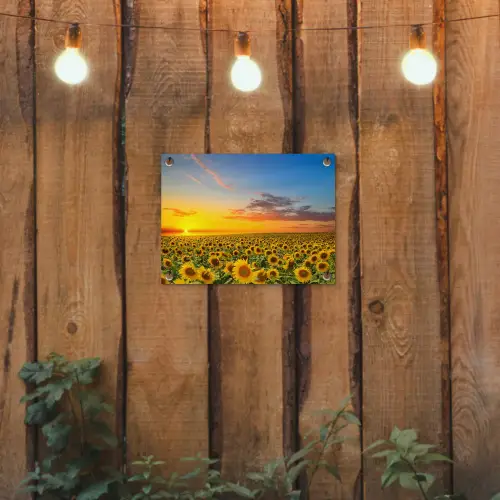 Bloemen - Zonnebloem - Zonsondergang - Nacht - Oranje tuinposter los doek klein -sfeer1