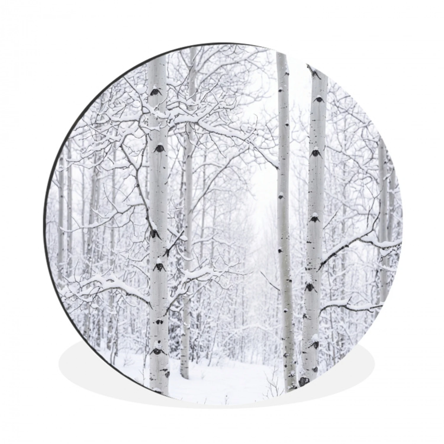 Berkenbomen - Sneeuw - Winter - Bos - Wit Wandcirkel aluminium klein -3d