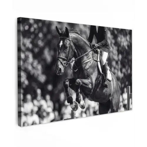 Springen - Paard - Zwart - Wit Tuinposter op houten frame 2 cm dik klein -3d