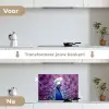 Pauw - Koksmuts - Cool - Paars keuken achterwand spatscherm klein -voor_na_NL