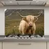 Schotse hooglander - Bergen - Grasveld keuken achterwand spatscherm klein -3d_website