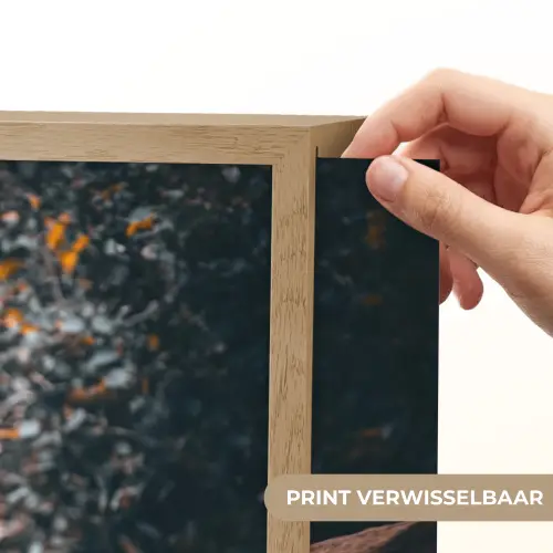 Papegaai - Vogel - Rots - Wit Light Box met batterij (Wandlamp) middel -USP_websiteprintNL