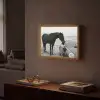 Paard - Auto - Zwart - Wit Light Box met batterij (Wandlamp) middel -sfeer1
