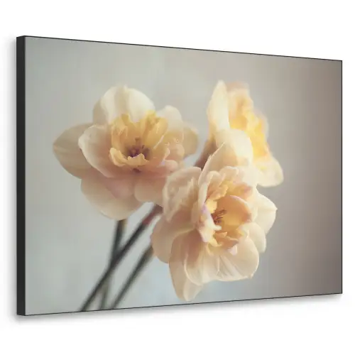 Narcissen - Geel - Bloemblaadjes Textielframe zwart klein -3d