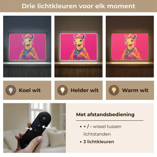 Kameel - Bloemen - Kimono - Waaiers Light Box met batterij (Wandlamp) middel -USP_lichtkleurNL