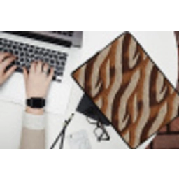 Zebra - Patroon - Bruin laptophoes neopreen klein 279 -bureau