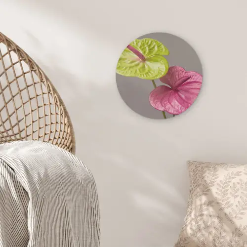 Planten - Anthurium - Groen - Roze Akoestische PET Vilt - Rond klein -sfeer4