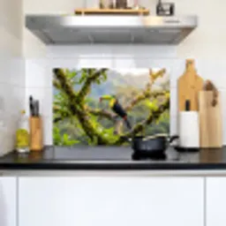 Toekan - Jungle - Natuur - Kleurrijk Inductie beschemer met haakjes klein -sfeer2