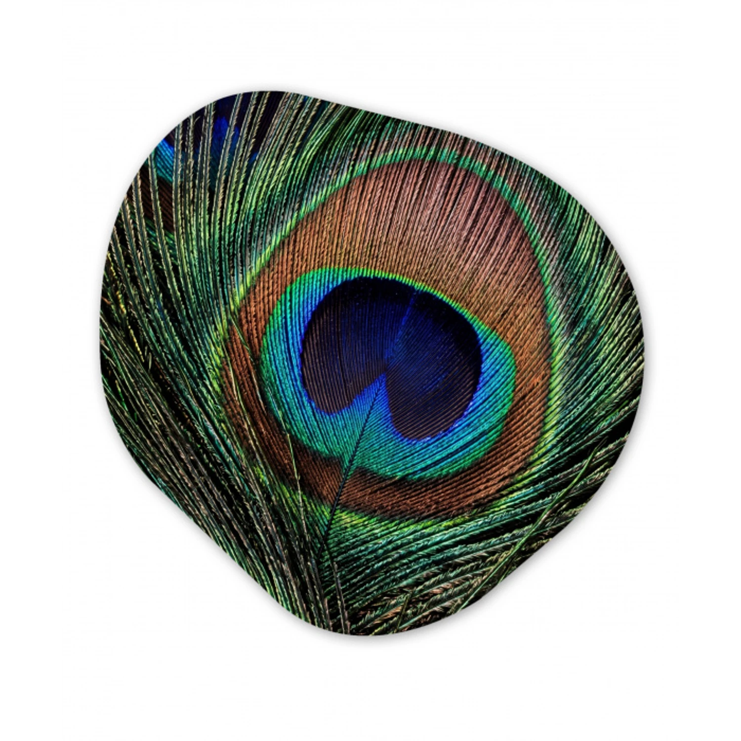 Pauwenveren - Klassiek - Groen Wandcirkel Organisch Aluminium middel -3d