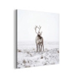 Rendier - Gewei - Sneeuw - Winter aluminium wit klein -3d