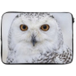 Sneeuwuil - Oog - Wildlife - Wit laptophoes neopreen klein -zkaufland3dotto