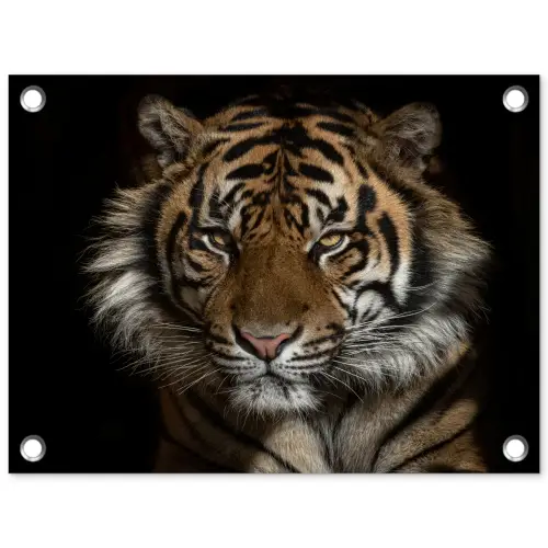 Tijger - Wilde dieren - Portret tuinposter los doek klein -3d