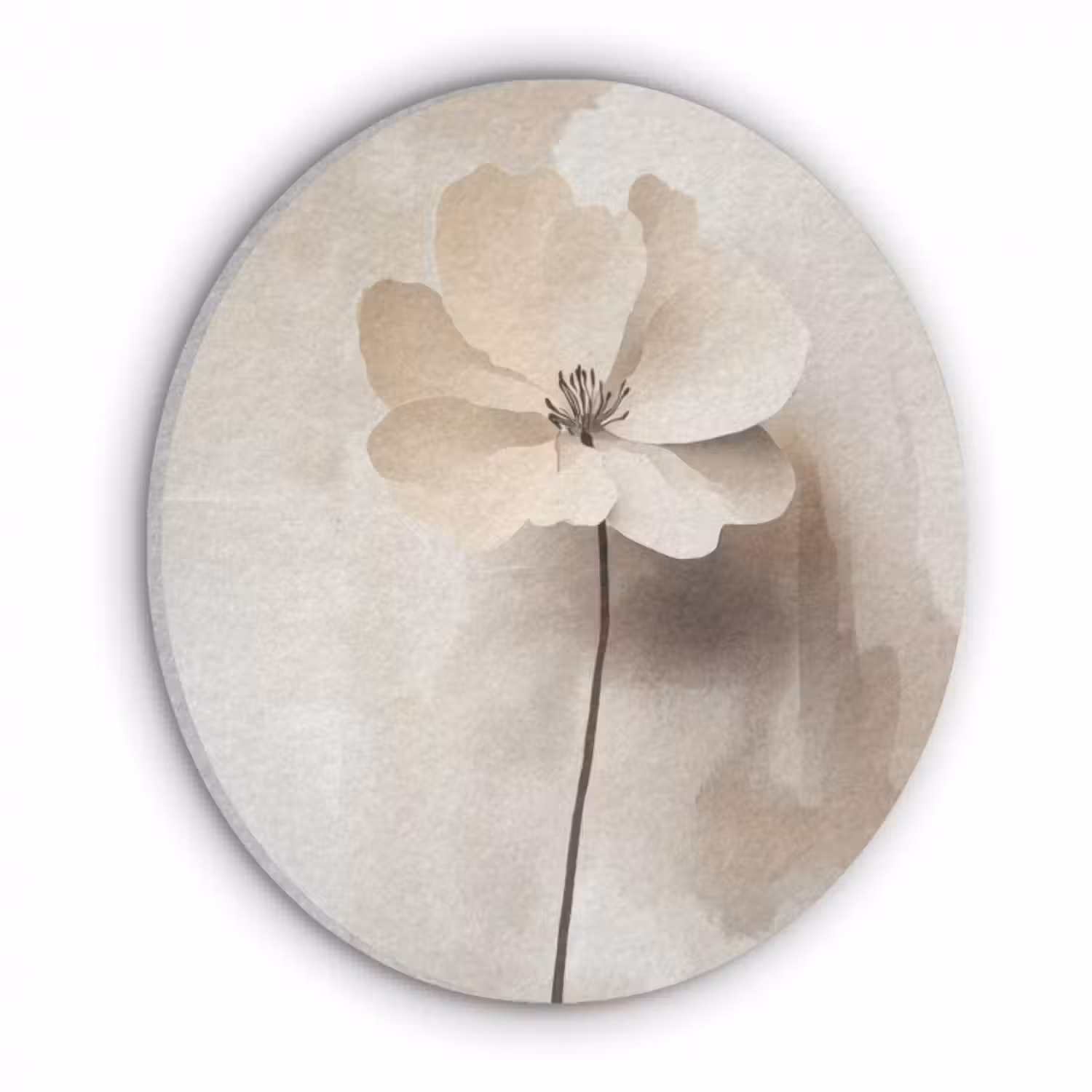 Akustikbild - Rund - Blume - Beige - Farbe - Schatten