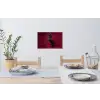 Hengst - Steigert - Rood Muursticker klein -eettafel