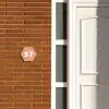 Zalmroze - Traditioneel Naambord Hexagon klein -sfeer3-hexagon-XS