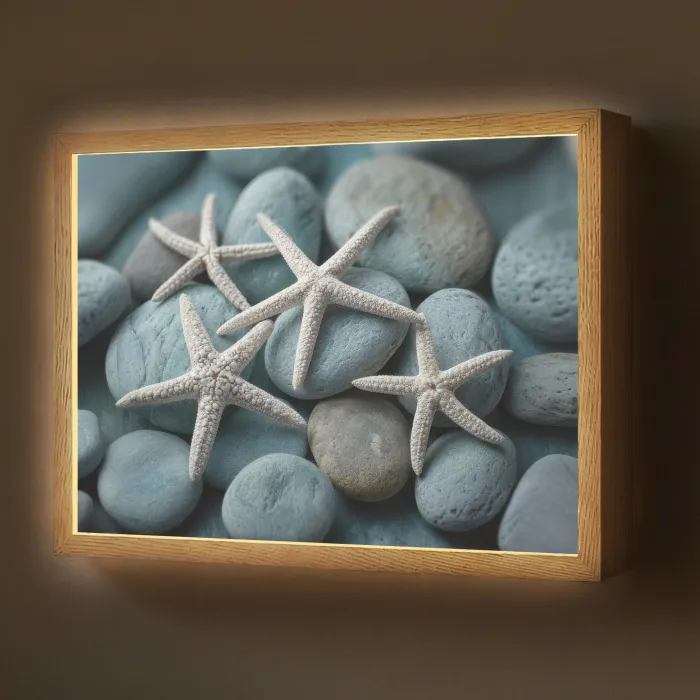 Zeesterren - Stenen - Wit Light Box met batterij (Wandlamp) middel -z3d_website