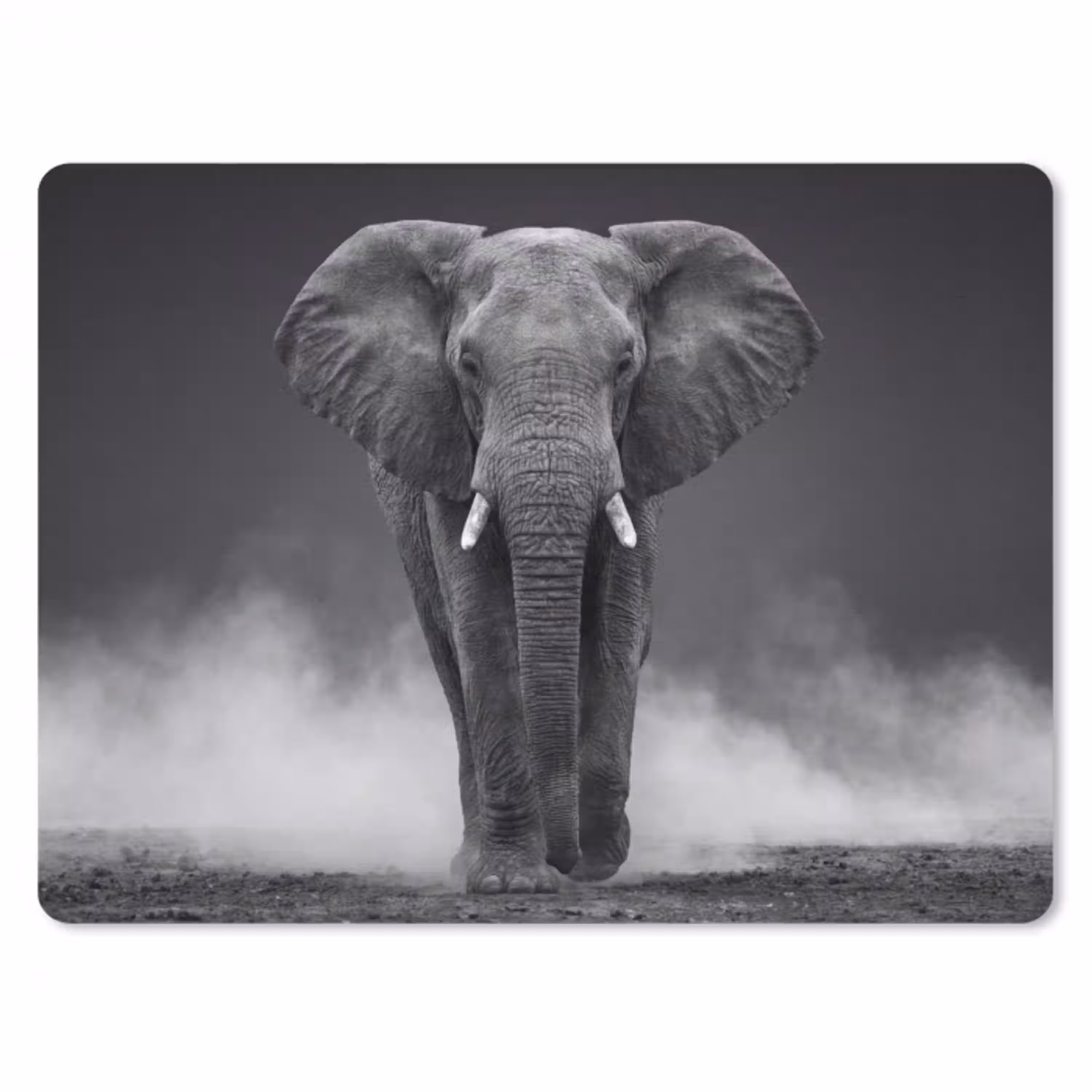 Olifant - Zwart - Wit - Rook muismat rubber klein -3d