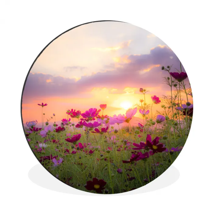 Bloemen - Roze - Zonsondergang Wandcirkel aluminium klein -3d