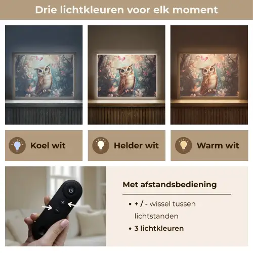Uil - Bos - Bloemen - Vlinders Light Box met batterij (Wandlamp kind) middel -USP_lichtkleurNL