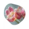 Tulpen - Roze - Stelen Wandcirkel Organisch Forex 3mm klein -3d