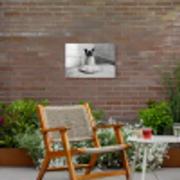 Kat - Siamees - Zwart Wit - Schattig - Dieren Tuinposter op houten frame 2 cm dik klein -sfeer3