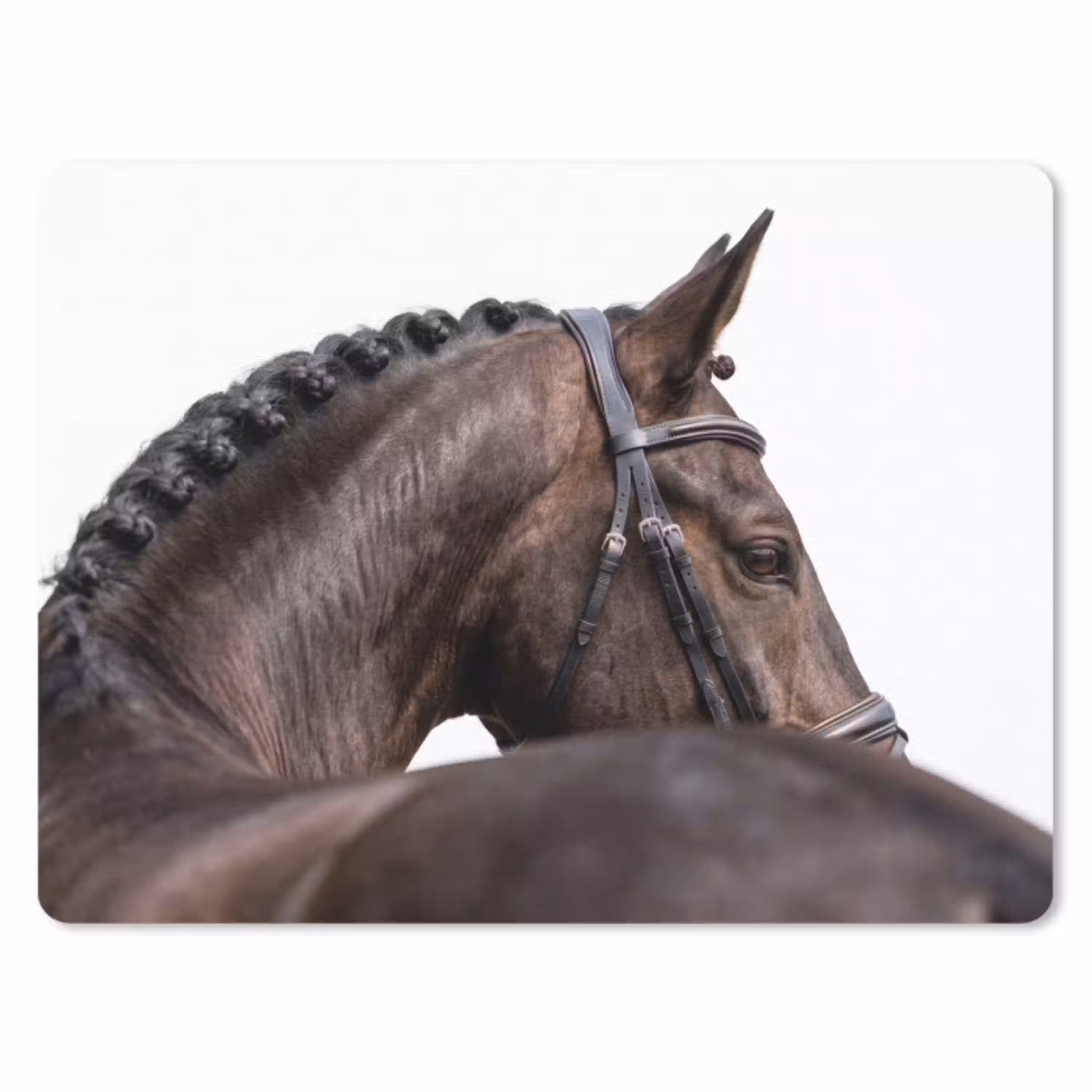 Portret - Paard - Elegant muismat rubber klein -3d