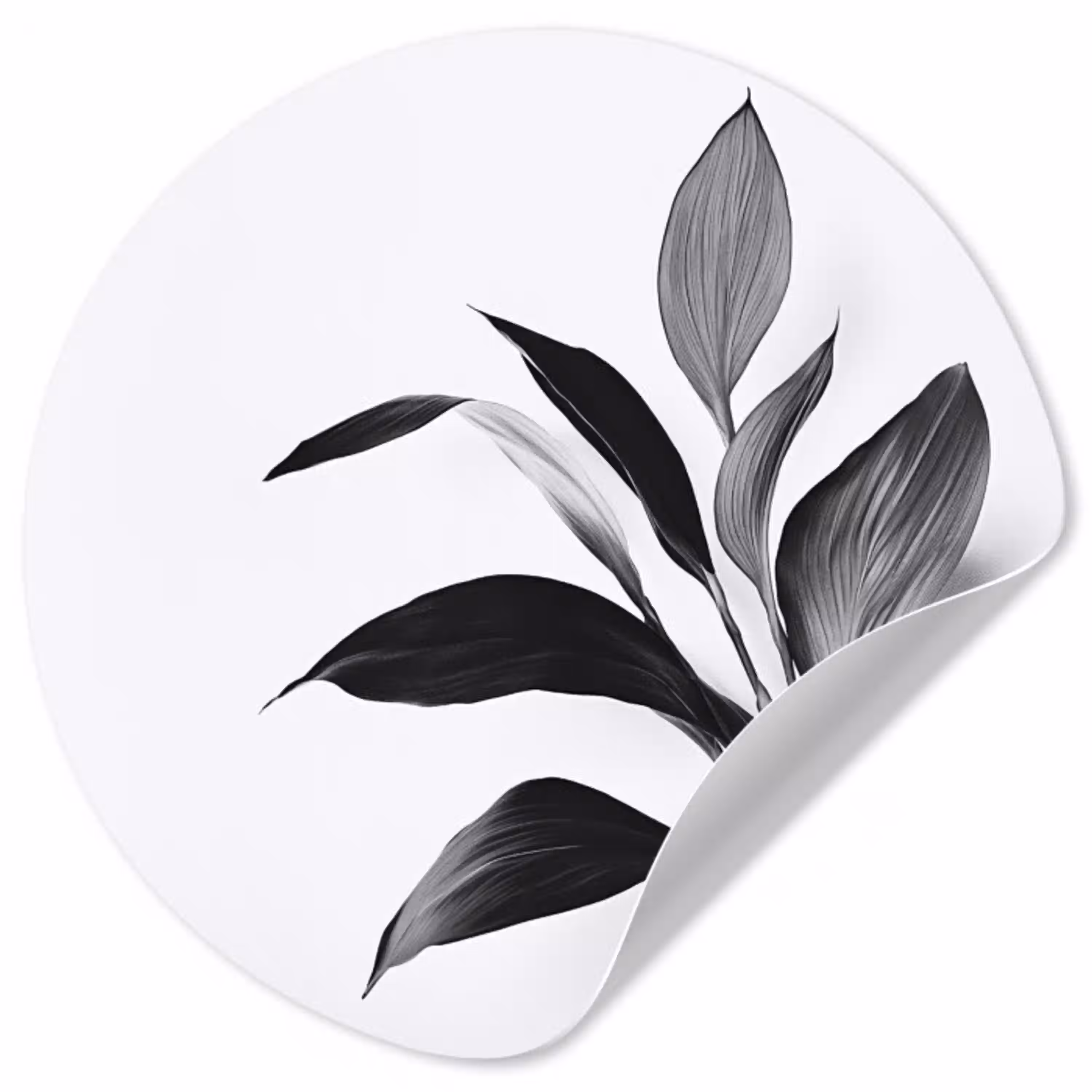 Plant - Bladeren - Minimalistisch - Zwart Wandcirkel behangsticker klein -3d
