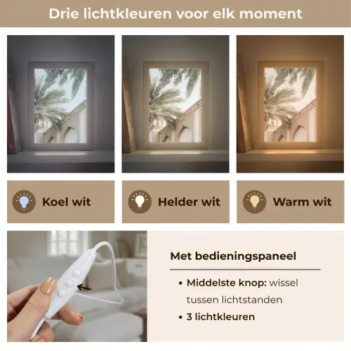 Gebouw - Palmbomen - Beige - Zon Light Box met kabel (Tafellamp) klein -USP_lichtkleurNL