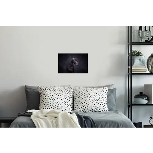 Portret - Paard - Donker Muursticker klein -slaapkamer
