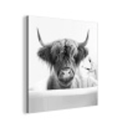 Schotse Hooglander - Koe - Bad - Zwart wit aluminium wit klein -3d