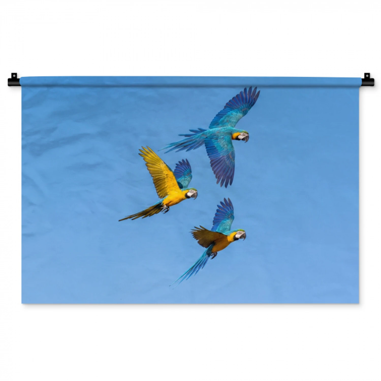 Papagaai - Vliegen - Blauw - Geel Wandkleed katoen middel -zz3d