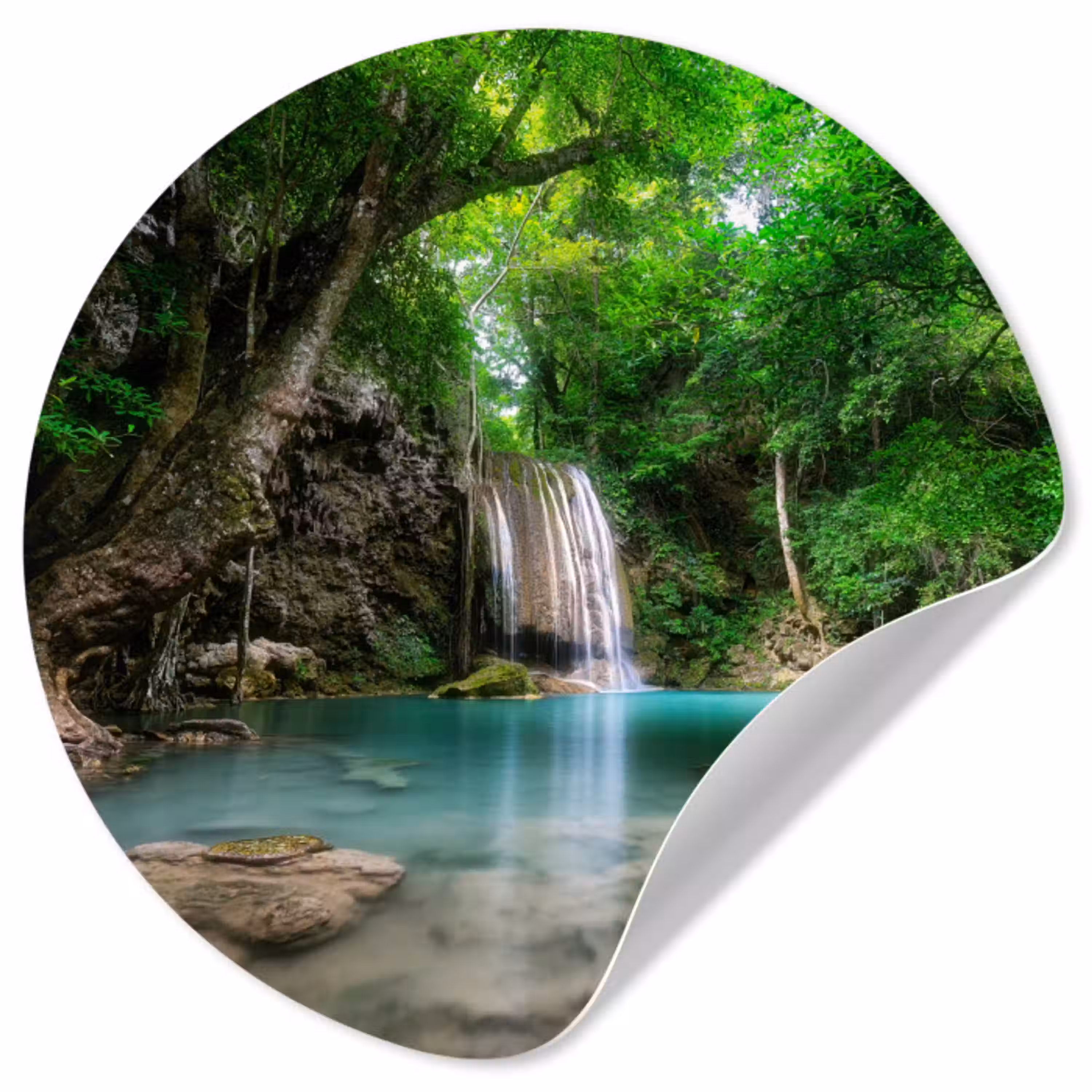 Jungle - Waterval - Planten - Water - Natuur Wandcirkel behangsticker klein -3d