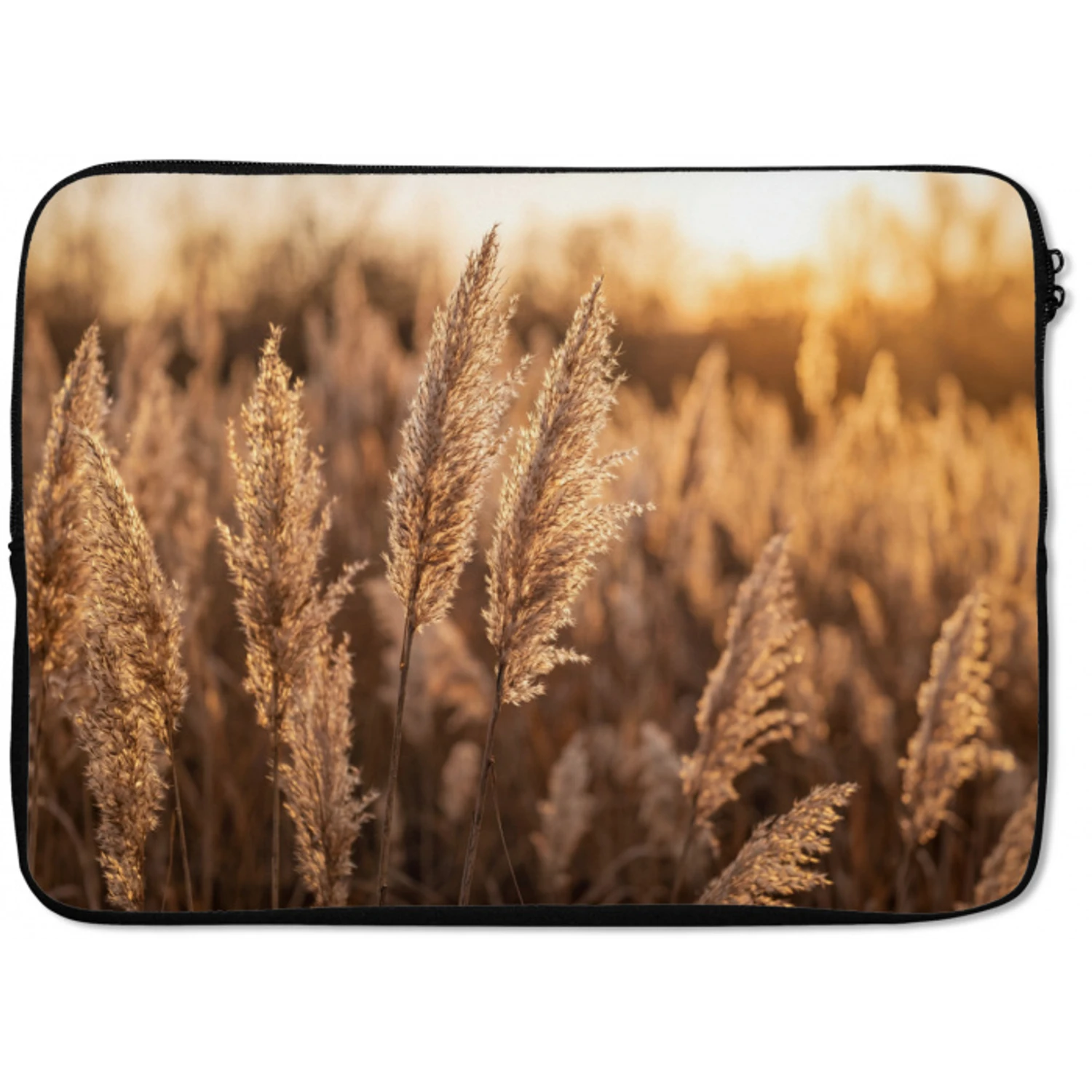 Rietpluimen - Gras - Zonsondergang - Goud - Serene laptophoes neopreen klein -zkaufland3dotto