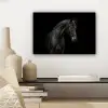 Paard - Dieren - Zwart - Portret canvas 2cm klein -sfeer6