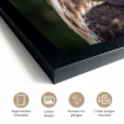 Buizerd - Roofvogel - Natuur - Bruin fotolijst zwart zonder passe partout klein -sfeer2