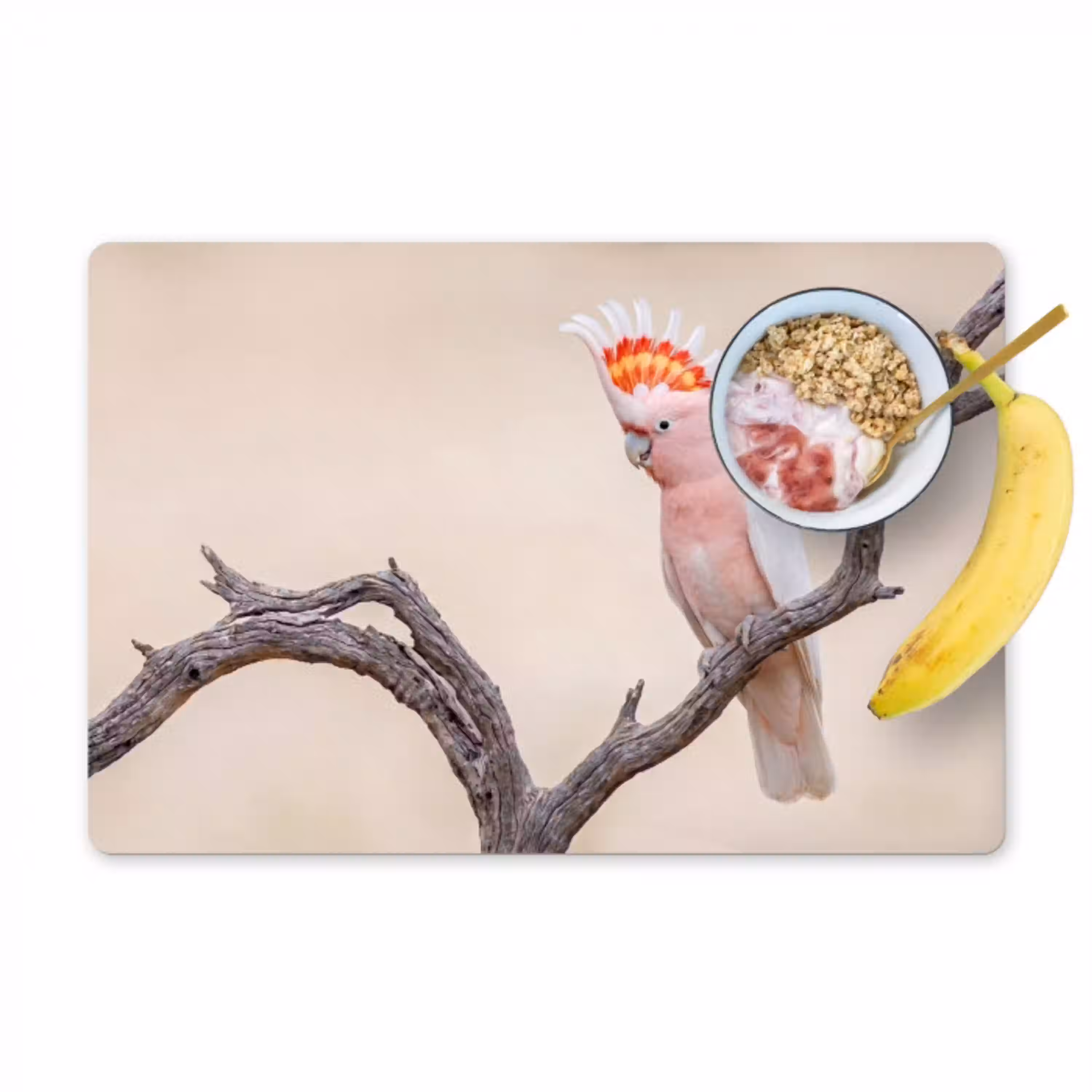 Papagaai - Tak - Roze Placemat vinyl groot -zzzproduct_Kitchenyeah-website