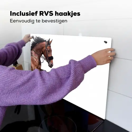 Paard - Springen - Modern Inductie beschemer met haakjes klein -ky-ophangen-nl