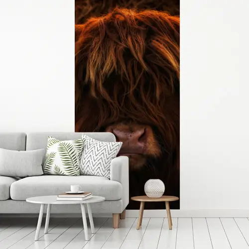 Schotse Hooglander - Koe - Portret - Dieren fotobehang vinyl groot -woonkamer