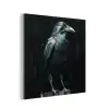 Raaf - Vogels - Zwart aluminium wit klein -3d