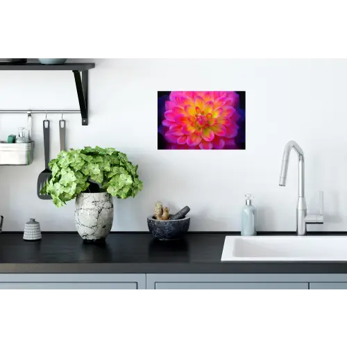 Roze - Dahlia - Kleurrijk Muursticker klein -keuken