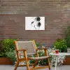 Lotusbloemen - Vissen - Bladeren - Zwart Tuinposter op houten frame 2 cm dik klein -sfeer3
