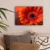 Oranje - Gerbera - Intens canvas 2cm klein -sfeer1