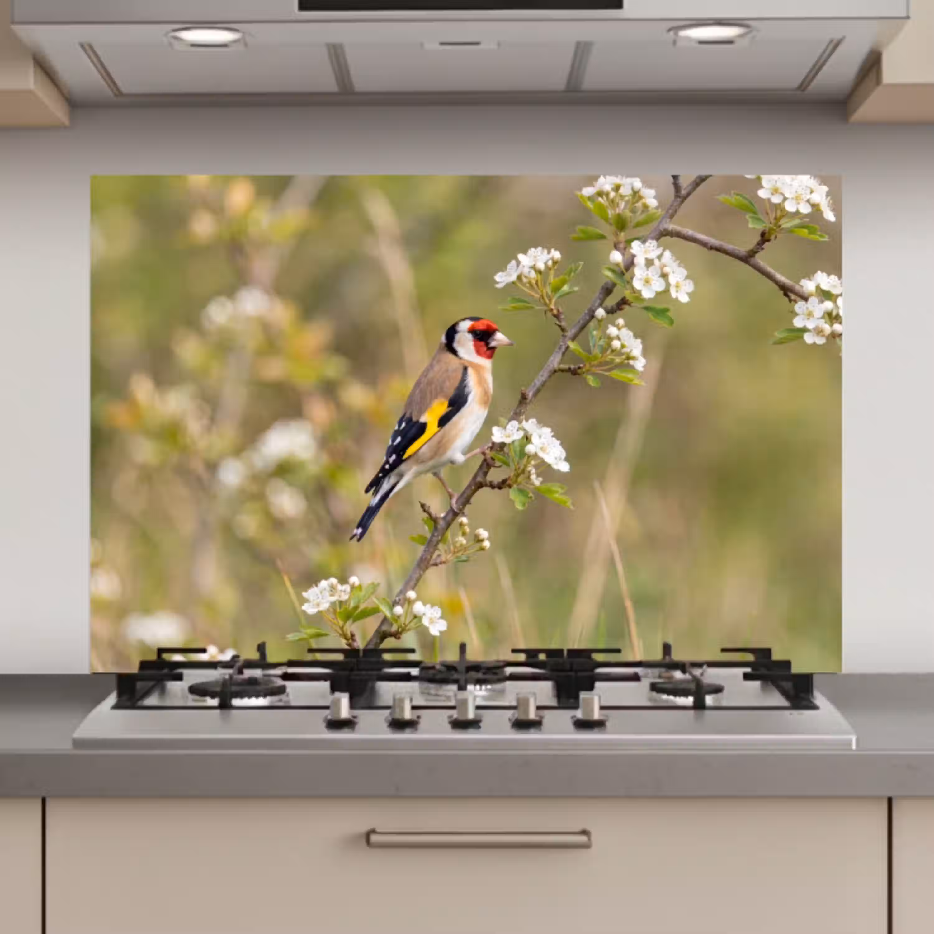 Putter - Bloesem - Lente - Natuur - Kleurrijk keuken achterwand spatscherm klein -3d_website