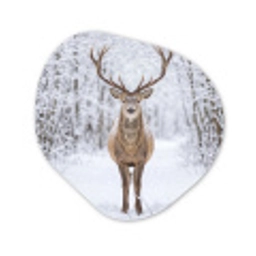 Hert - Winter - Bos - Natuur - Wit Wandcirkel Organisch Forex 3mm klein -3d