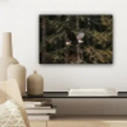 Zeearend - Vliegen - Bos - Natuur canvas 2cm klein -sfeer6
