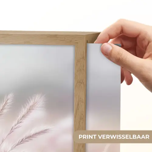 Graspluimen - Wind - Beige - Mistig Light Box met batterij (Wandlamp) middel -USP_websiteprintNL