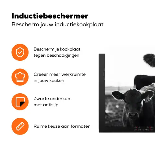 Koeien - Zwart - Wit Inductie beschermer vinyl 3mm klein -zzzzzzz-td-ups
