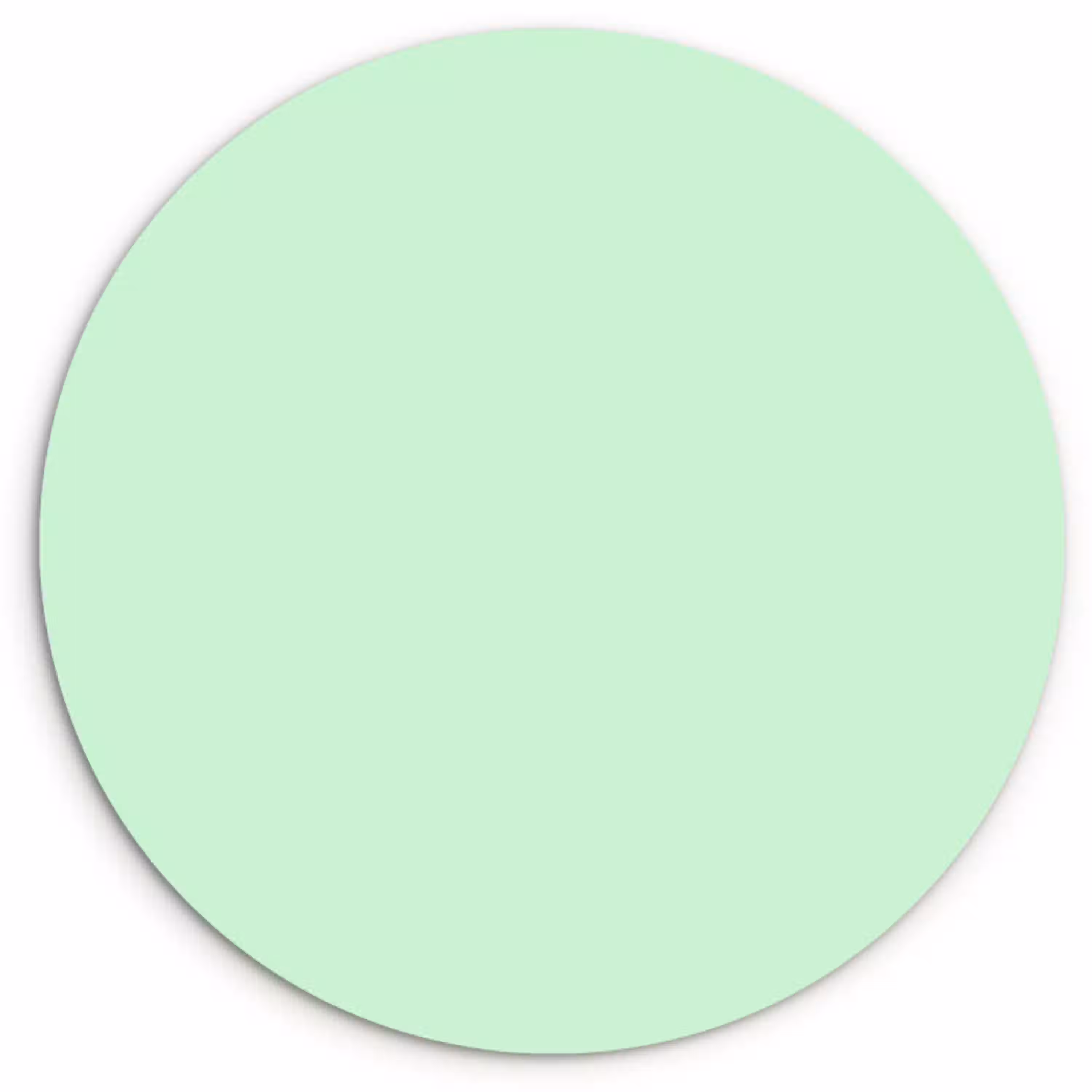 Pale - Mint - Groen Wandcirkel kunststof plaat 5mm dik klein 188 -3d