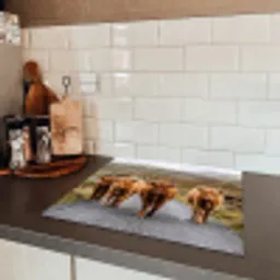 Schotse Hooglanders - Weg - Landschap - Kudde Inductie beschermer vinyl 3mm middel -sfeer3